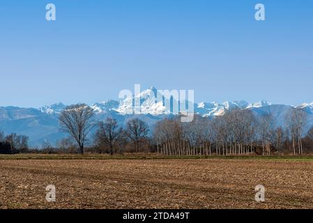 Paesaggio di campi a riposo dopo la raccolta del mais in inverno con alberi senza foglie nella Pianura Padana in provincia di Cuneo, Italia, con sfondo del Monte Foto Stock