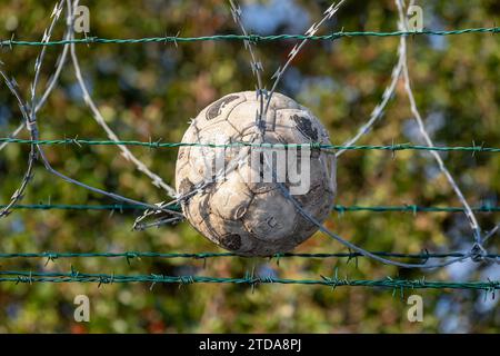 Vecchia palla da calcio abbandonata intrappolata nel filo di barba al confine, sfondo di alberi sfocati, scherma di sicurezza Foto Stock