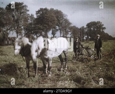 Maffliers, Francia, animali, attività economica, Daily Life, abbigliamento, esseri umani, cavallo, vero animale, agricoltura, allevamento, ambiente di lavoro, vita rurale, Teaming, campo, agricoltore, abbigliamento da lavoro, attrezzature agricole, Man, Isola di Francia, Mafliers, Plow Harnessed for scavating potatoes, Maffliers, 25/09/1930 - 25/09/1930, Passet, Stéphane, fotografo, 1930 - Ile-de-France - Stéphane Passet - (settembre-ottobre), Autochrome, Photo, Glass, Autochrome, foto, positiva Foto Stock