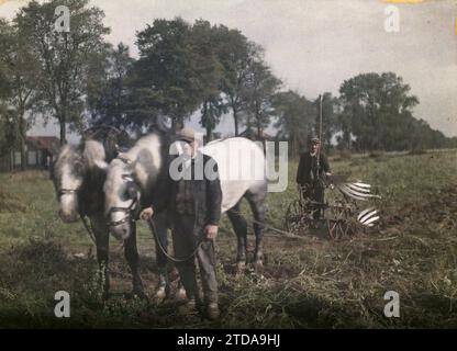 Maffliers, Francia, animali, attività economica, Daily Life, abbigliamento, esseri umani, cavallo, vero animale, agricoltura, allevamento, ambiente di lavoro, vita rurale, Teaming, campo, agricoltore, abbigliamento da lavoro, attrezzature agricole, Man, Isola di Francia, Maffliers, Team e aratro che estraggono patate, Maffliers, 25/09/1930 - 25/09/1930, Passet, Stéphane, fotografo, 1930 - Ile-de-France - Stéphane Passet - (settembre-ottobre), Autochrome, Photo, Glass, Autochrome, foto, positiva Foto Stock