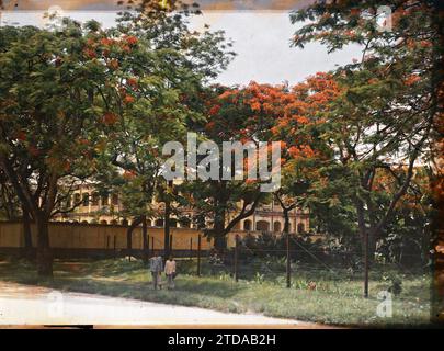 Hà-nôi, Hainoi Vietnam, Tonchino, Indocina due bambini sotto gli alberi fiammeggianti che fiancheggiano Avenue Général Bichot, esseri umani, Habitat, architettura, storia coloniale, natura, ambiente, bambini, architettura in stile occidentale, caserme, fiore, esercito coloniale, filo spinato, vegetazione, botanica, Indocina, Tonchino, Hanoi, Trees, l'Avenue Bichot - le Flamboyant, Quartier de la citadelle, 01/07/1915 - 31/08/1915, Busy, Léon, Léon Busy photographer en Indocine, Autochrome, Photo, Glass, Autochrome, foto, positivo, orizzontale, dimensioni 9 x 12 cm Foto Stock