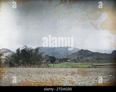 Provincia di Hoa-binh, Tonchino, Indocina Un paesaggio con un albero in fiore, natura, ambiente, attività economica, paesaggio, monte, montagna, Agricoltura, bestiame, Fiore, Indocina, Tonchino, da Hanoi a Chobõ, Black River, tra Hanoi a Hoabinh, fioritura di alberi nel cespuglio., Hoa-Binh [région], 06/03/1916 - 08/03/1916, Busy, Léon, fotografo Léon occupato en Indochine, Autochrome, foto, vetro, Autochrome, foto, positivo, orizzontale, dimensioni 9 x 12 cm Foto Stock