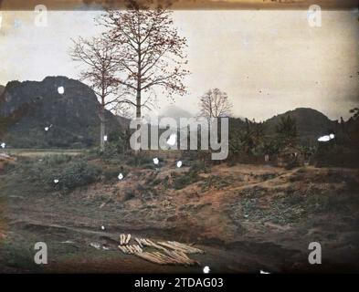 Provincia di Hoa-binh, Tonchino, Indocina Un albero di kapok in fiore alla periferia della città, natura, ambiente, paesaggio, Monte, montagna, Fiore, vegetazione, botanica, Indocina, Tonchino, da Hanoi a Chobõ, Black River, Hoabinh, angolo ONU di Hoabin, in primo piano Kapoks in Flower, Hoa-Binh [région], 06/03/1916 - 08/03/1916, Busy, Léon, fotografo Léon occupato en Indochine, Autochrome, foto, vetro, Autochrome, foto, positivo, orizzontale, dimensioni 9 x 12 cm Foto Stock