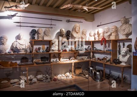 La collezione di curiosità di Rembrandt esposta in una sala del museo Rembrandt House di Amsterdam. Foto Stock