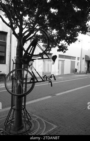 bicicletta appesa su un albero Foto Stock