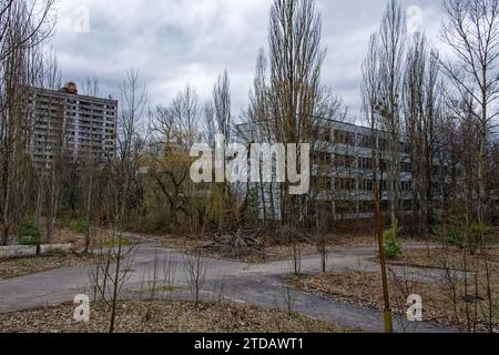 Edifici distrutti a Pripyat, zona di esclusione di Chernobyl, Ucraina. Case abbandonate a Pripyat tra gli alberi. Edifici residenziali abbandonati nel Foto Stock