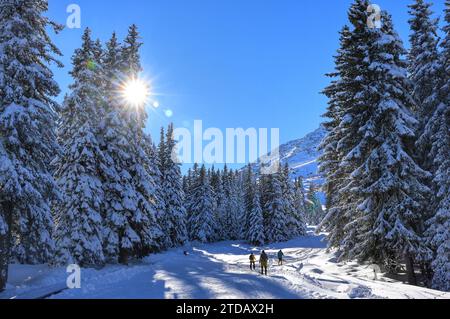 Tempo invernale in Bulgaria. Gli escursionisti scalano una pista con neve appena caduta in una foresta innevata in una giornata invernale soleggiata dopo una nevicata. Foto Stock