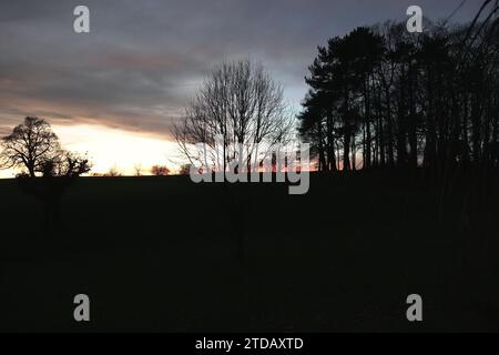 Delta Hotels by Marriott Breadsall Priory Country Club Foto Stock
