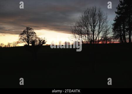 Delta Hotels by Marriott Breadsall Priory Country Club Foto Stock