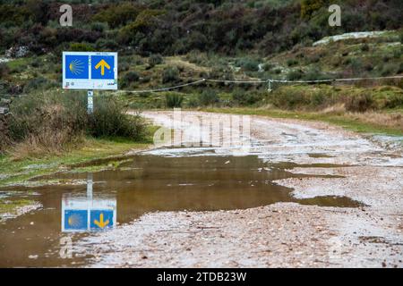 Frecce gialle che indicano la strada da seguire nelle diverse fasi del cammino di Santiago Foto Stock