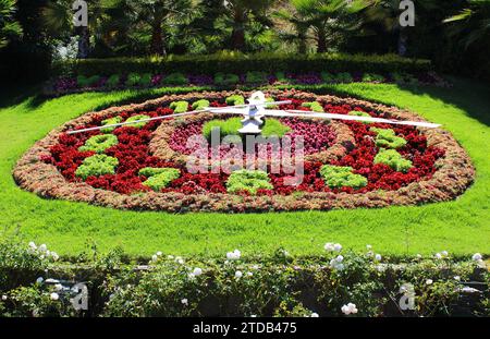 Orologio di fiori a Viña del Mar Foto Stock