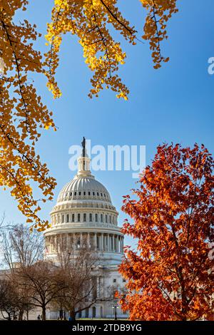 Washington, DC - l'edificio del Campidoglio degli Stati Uniti, circondato da colori autunnali. Foto Stock