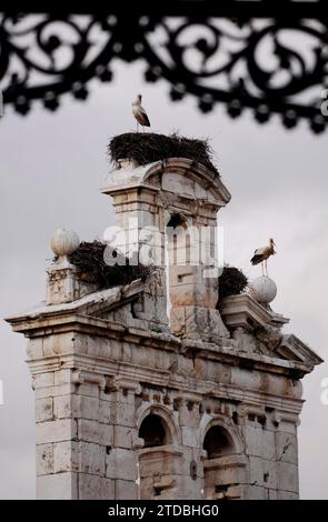 04/13/2008. Alcalá de Henares. Madrid. Espadaña de San Ildefonso dalla tribuna in Plaza de Cervantes. Foto: San Bernardo. ARCHDC. Crediti: Album / Archivo ABC / Eduardo San Bernardo Foto Stock