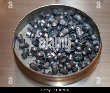stagno di pellet di pistola ad aria compressa al piombo appuntito calibro 0,20 Foto Stock