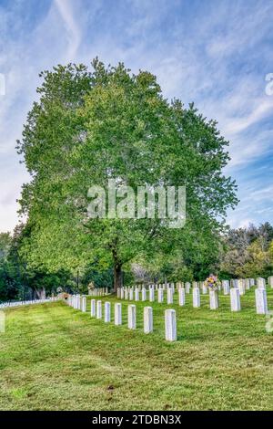 File di tombe militari marchiate bianche vicino a un albero solitario al Fort Donelson National Cemetery di dover, Tennessee. Foto Stock