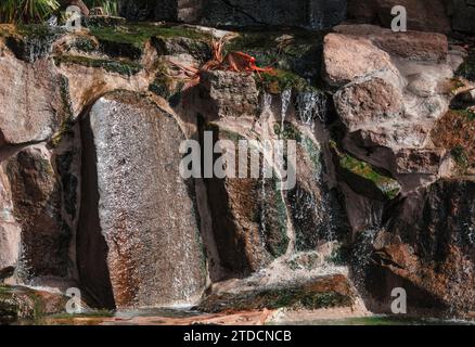 Acqua limpida nella luce del sole che scorre sulle rocce naturali . Torrente d'acqua che forma cascata nella natura Foto Stock