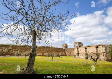 castillo de Mourão, siglo XIV, Mourão, Distrito de Évora, Alentejo, Portogallo Foto Stock