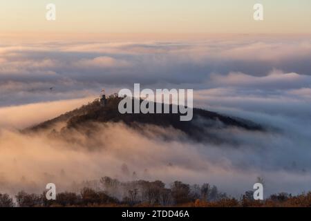 Königsteiner Burgen im Nebel die Burgruine Falkenstein ragt am Morgen bei Sonnenaufgang aus einer Nebeldecke., Königstein Hessen Deutschland *** Königstein castelli nella nebbia le rovine del castello di Falkenstein sorgono da una coperta di nebbia all'alba , Königstein Assia Germania Foto Stock