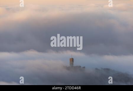 Königsteiner Burgen im Nebel die Burgruine Königstein ragt am Morgen aus einer Nebeldecke., Königstein Hessen Deutschland *** Königstein castelli nella nebbia le rovine del castello di Königstein sorgono da una coperta di nebbia al mattino , Königstein Assia Germania Foto Stock