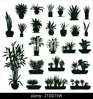 Imposta diverse sagome per piante da casa in vaso. Fiori al coperto o piante in vasi di fiori collezione di illustrazioni vettoriali piatte Illustrazione Vettoriale