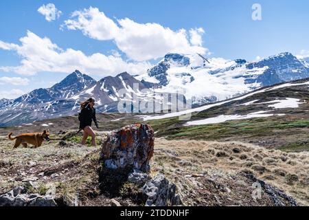 Escursioni a piedi attraverso il Sunning Wilcox Pass Foto Stock