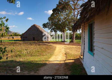 Un'architettura tipica nelle fattorie di tabacco, Valley de Vinales, Pinar Foto Stock