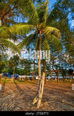 Phuket Thailanda 25 maggio 2023, immagini diverse da una spiaggia di phuket, opzioni per i turisti. Foto Stock