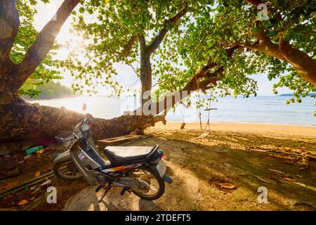 Phuket Thailanda 25 maggio 2023, immagini diverse da una spiaggia di phuket, opzioni per i turisti. Foto Stock