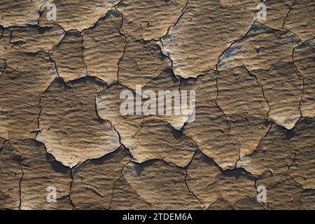 Piastrelle di fango sulla Panamint Valley playa nel Death Valley National Park, California. Foto Stock