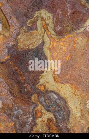 Arte rupestre su una scogliera di lava basaltica lungo il fiume John Day presso il Cottonwood Canyon state Park, Oregon centro-settentrionale. Foto Stock