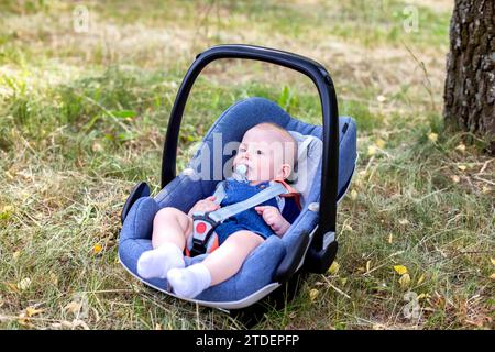 In estate, un bambino con un succhietto in bocca si trova in un portabicchieri portatile sull'erba della natura. Foto Stock