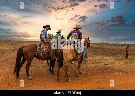 Cowboys nell'allevamento di bestiame Kahombo, Malanje, Angola, Africa Foto Stock