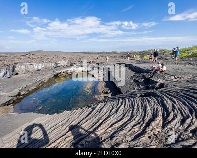 Lava di pahoehoe sull'isola più giovane delle Galapagos, sull'isola di Fernandina, sulle isole Galapagos, sito patrimonio dell'umanità dell'UNESCO, Ecuador, Sud America Foto Stock