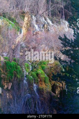 CASCADA EN EL NACIMIENTO DEL RIO CUERVO. UBICAZIONE: NACIMIENTO DEL RIO CUERVO. PROVINCIA. CUENCA. SPAGNA. Foto Stock