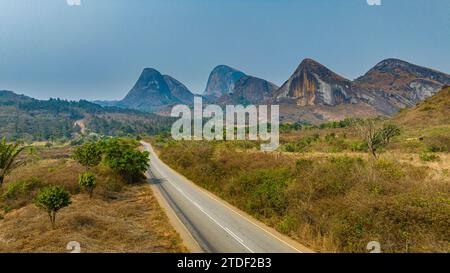 Conda, Kumbira Forest Reserve, Kwanza sul, Angola, Africa Foto Stock