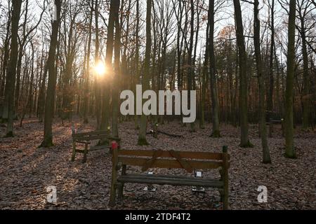 La scena del crimine del doppio omicidio nella foresta di Klanovice, Praga, Repubblica Ceca, nella foto del 18 dicembre 2023. Due persone, una delle quali un bambino, sono state trovate morte nel quartiere di Klanovice, nella periferia orientale di Praga, il 15 dicembre 2023. Diverse dozzine di agenti di polizia stanno lavorando per risolvere il doppio omicidio. (CTK Photo/Michaela Rihova) Foto Stock