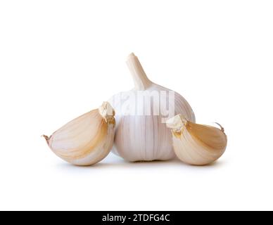 Singolo bulbo fresco di aglio bianco con segmenti è isolato su sfondo bianco con percorso di ritaglio, erbe tailandesi è ottimo per guarire diverse malattie gravi Foto Stock