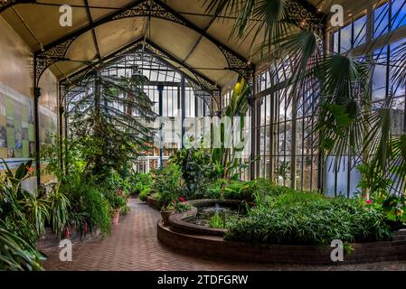 Palme e piante succulente nel giardino botanico della Buxton Spa. Foto Stock