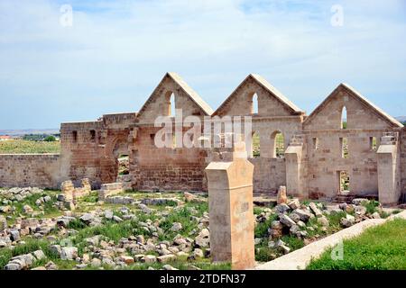 Il califfo Marwan II risiedette ad Harran dal 744 al 750 d.C.. E si ritiene che abbia fondato Ulu Camii, la più antica università islamica del mondo Foto Stock