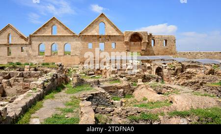 Il califfo Marwan II risiedette ad Harran dal 744 al 750 d.C.. E si ritiene che abbia fondato Ulu Camii, la più antica università islamica del mondo Foto Stock