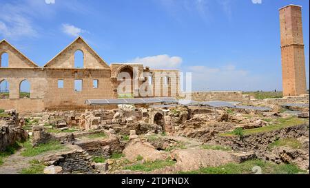 Il califfo Marwan II risiedette ad Harran dal 744 al 750 d.C.. E si ritiene che abbia fondato Ulu Camii, la più antica università islamica del mondo Foto Stock