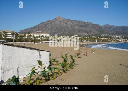 Spiaggia di Puerto Banús, Marbella, con il Monte Concha alle spalle, Costa del sol, stagione invernale, Andalusia, Spagna. Foto Stock