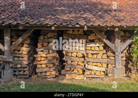 Legna da ardere ordinatamente impilata essiccata in un capannone coperto aperto, Muensterland, Renania settentrionale-Vestfalia, Germania Foto Stock