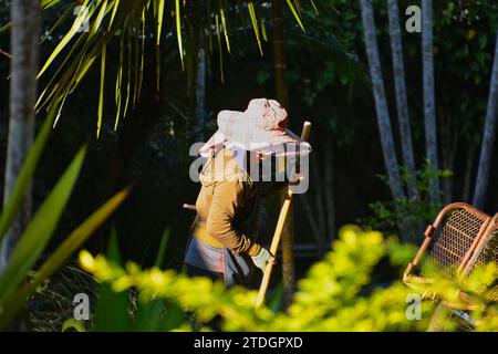 Una bella donna tailandese mette le cose in ordine in un giardino botanico in Thailandia Foto Stock