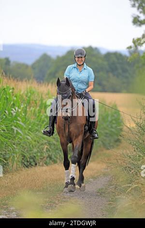 Cavaliere con la guerra su una strada di campagna, Sauerland, Renania settentrionale-Vestfalia, Germania Foto Stock