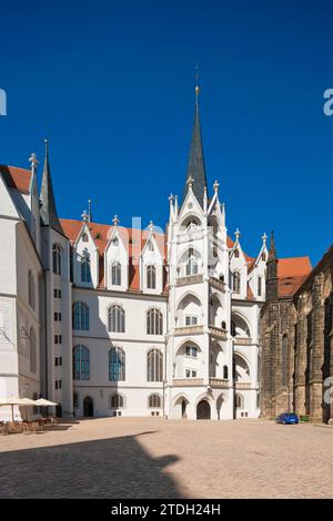 Castello di Albrechtsburg con grande Wendelstein Foto Stock