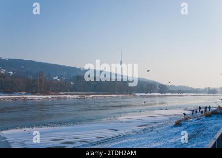 Inverno sull'Elba, tra Dresda Blasewitz e Loschwitz Foto Stock