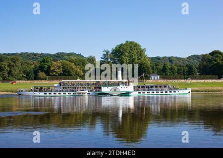 Pillnitz è un ex sobborgo (incorporato nel 1950) ed è ora un distretto di Dresda Pillnitz ha raggiunto una fama sovraregionale grazie al suo palazzo Foto Stock