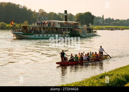 Dragon boat dal club di canoa Laubegast sull'Elba Foto Stock