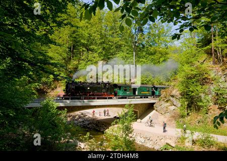 Rabenauer Grund, after the severe damage caused by the floods of 2002, the popular narrow-gauge railway runs again through the Rabenauer Grund, from Stock Photo